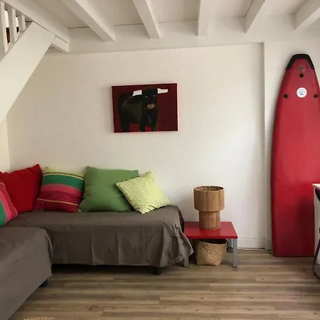 Villa Ocean- La Juncade Agreable Mitoyenne Pour 6 Personnes Seignosse